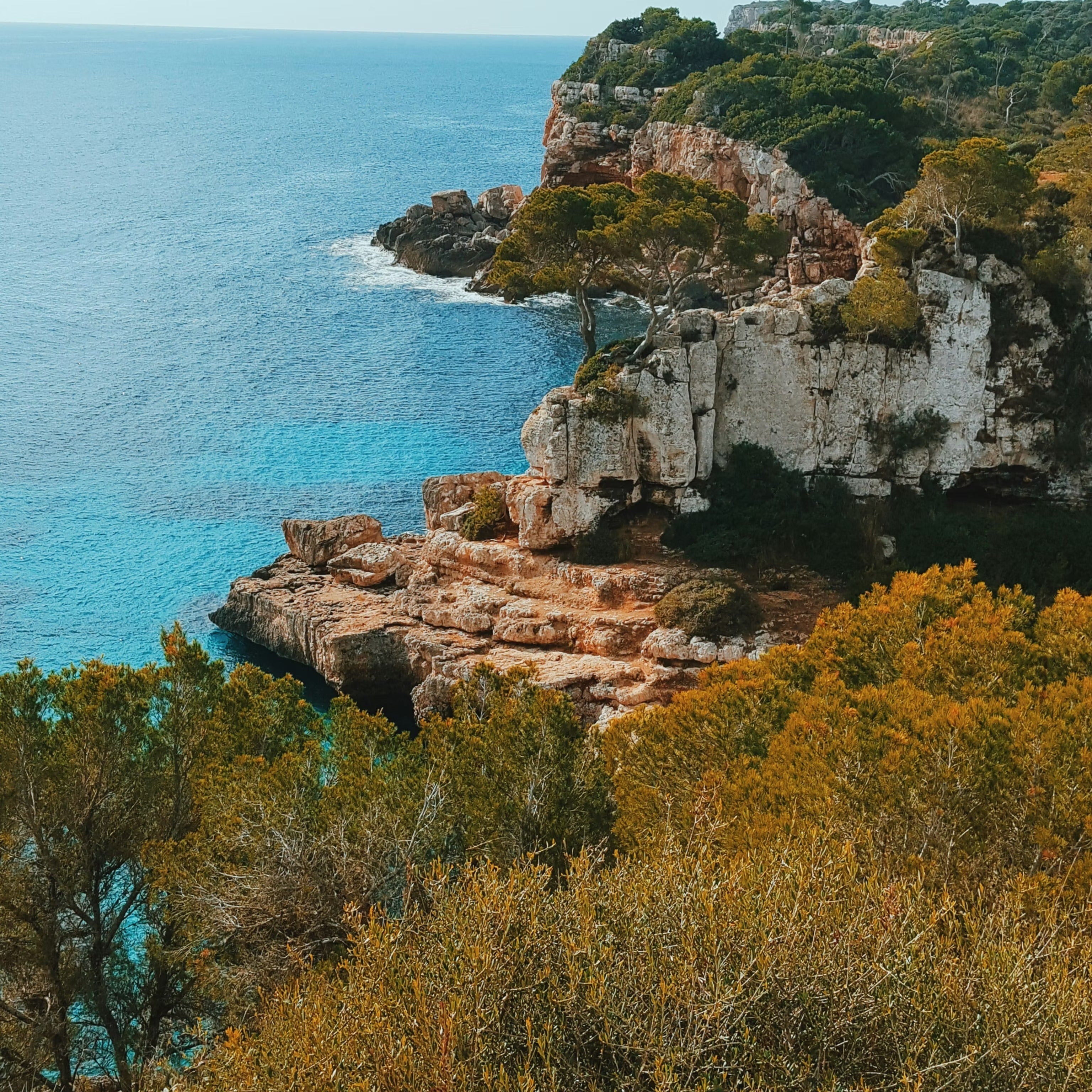 Mallocra retreat | June 7–13, 2026